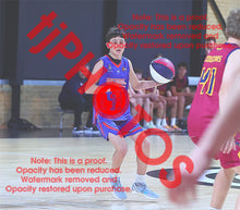 Load image into Gallery viewer, Boston Brandi Westgate U16B1 VJBL 2026 Game Photo Catalogue