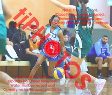 Load image into Gallery viewer, Faith De Silva Western Wildcats Chartreux Winter 2026 Game Photo Catalogue