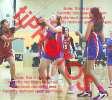 Load image into Gallery viewer, Imogen Gay Iramoo Winter 2026 Game Photo Catalogue