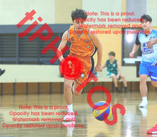 Load image into Gallery viewer, Jacob Elrouby Corpus Winter 2026 Game Photo Catalogue