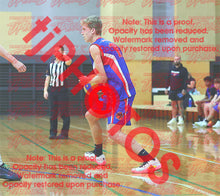 Load image into Gallery viewer, Ethan Young Iramoo Winter 2026 Game Photo Catalogue