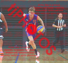 Load image into Gallery viewer, Ethan Young Iramoo Winter 2026 Game Photo Catalogue