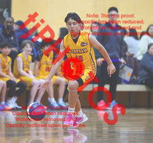 Load image into Gallery viewer, Wynn Vinijpol Wyndham U14B7 VJBL 2026 Game Photo Catalogue
