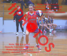 Load image into Gallery viewer, Charlotte Colvin Westgate U14G1 VJBL 2026 Game Photo Catalogue