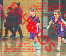 Load image into Gallery viewer, Harlow Wells Iramoo Winter 2026 Game Photo Catalogue