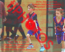 Load image into Gallery viewer, Harlow Wells Iramoo Winter 2026 Game Photo Catalogue