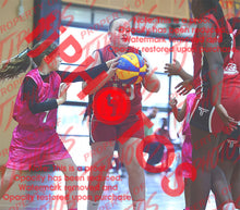 Load image into Gallery viewer, Imogen Whitley Tarneit Winter 2026 Game Photo Catalogue