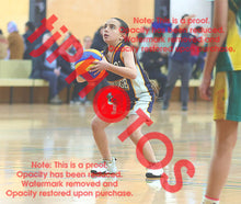 Load image into Gallery viewer, Olivia Aquilina Cambridge Winter 2026 Game Photo Catalogue