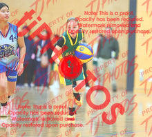 Load image into Gallery viewer, Giselle Anderson St Andrews Winter 2026 Game Photo Catalogue