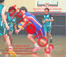 Load image into Gallery viewer, Sam Warren Iramoo Winter 2026 Game Photo Catalogue