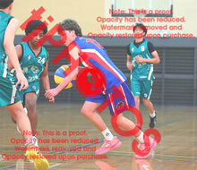 Load image into Gallery viewer, Sam Warren Iramoo Winter 2026 Game Photo Catalogue