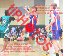 Load image into Gallery viewer, Sam Warren Iramoo Winter 2026 Game Photo Catalogue