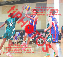 Load image into Gallery viewer, Sam Warren Iramoo Winter 2026 Game Photo Catalogue