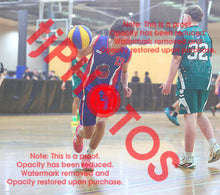 Load image into Gallery viewer, Sam Warren Iramoo Winter 2026 Game Photo Catalogue