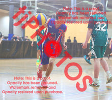 Load image into Gallery viewer, Sam Warren Iramoo Winter 2026 Game Photo Catalogue