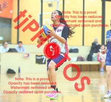Load image into Gallery viewer, Kayla Aban Heathdale Winter 2026 Game Photo Catalogue