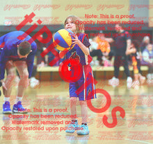 Load image into Gallery viewer, Harlow Wells Iramoo Winter 2026 Game Photo Catalogue