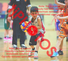 Load image into Gallery viewer, Yusuf Tebeileh Heathdale Winter 2026 Game Photo Catalogue