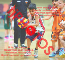 Load image into Gallery viewer, Yusuf Tebeileh Heathdale Winter 2026 Game Photo Catalogue