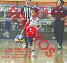 Load image into Gallery viewer, Yusuf Tebeileh Heathdale Winter 2026 Game Photo Catalogue