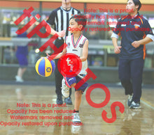 Load image into Gallery viewer, Yusuf Tebeileh Heathdale Winter 2026 Game Photo Catalogue