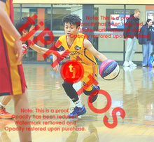 Load image into Gallery viewer, Ethan Desiderio Wyndham U12B3 VJBL 2026 Game Photo Catalogue