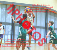 Load image into Gallery viewer, Amay Sajwan Heathdale Rapture Winter 2026 Game Photo Catalogue