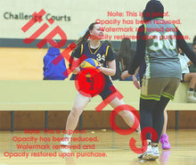 Load image into Gallery viewer, Alison Date Cambridge Charms Winter 2026 Game Photo Catalogue