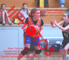 Load image into Gallery viewer, Westside Suns Under 12 Girls Winter 2026 Game Photo Catalogue