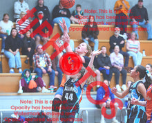 Load image into Gallery viewer, Westside Suns Under 12 Girls Winter 2026 Game Photo Catalogue