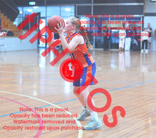 Load image into Gallery viewer, Westside Suns Under 12 Girls Winter 2026 Game Photo Catalogue