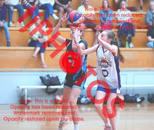 Load image into Gallery viewer, Matilda Joyce Footscray Hawks Winter 2026 Game Photo Catalogue