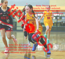 Load image into Gallery viewer, Zoey Lee Wyndham U12G2 VJBL 2026 Game Photo Catalogue