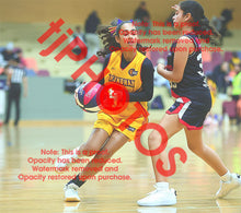 Load image into Gallery viewer, Sifat Pannu Wyndham U12G_2 VJBL 2026 Game Photo Catalogue