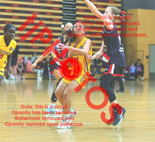 Load image into Gallery viewer, Aria Leonor U12G_1 VJBL 2026 Game Photo Catalogue