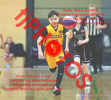 Load image into Gallery viewer, Mario Karlica Wyndham U12B6 VJBL 2026 Game Photo Catalogue