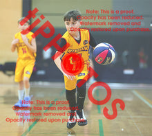 Load image into Gallery viewer, Mario Karlica Wyndham U12B6 VJBL 2026 Game Photo Catalogue