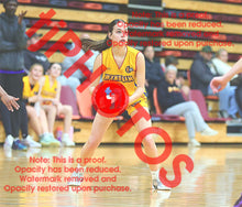 Load image into Gallery viewer, April Hollingsworth Wyndham U16G3 VJBL 2026 Game Photo Catalogue