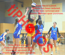 Load image into Gallery viewer, Grace Niu Wyndham U18G3 VJBL 2026 Game Photo Catalogue
