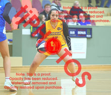Load image into Gallery viewer, Grace Niu Wyndham U18G3 VJBL 2026 Game Photo Catalogue