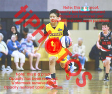 Load image into Gallery viewer, Wynn Vinijpol Wyndham U14B7 VJBL 2026 Game Photo Catalogue