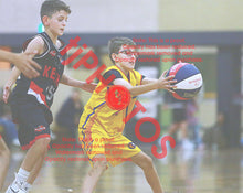 Load image into Gallery viewer, Mitchell Schwind Wyndham VJBL 2026 Game Photo Catalogue