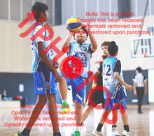 Load image into Gallery viewer, Xavier Quizon Western Wildcats Winter 2026 Game Photo Catalogue