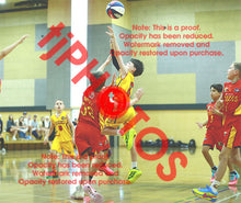 Load image into Gallery viewer, Archer Portelli U12B_2 VJBL 2026 Game Photo Catalogue