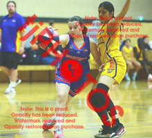 Load image into Gallery viewer, Georgie Vardon Westgate U14G3 VJBL 2026 Game Photo Catalogue