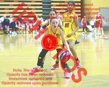 Load image into Gallery viewer, Zoey Lee Wyndham U12G2 VJBL 2026 Game Photo Catalogue