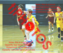 Load image into Gallery viewer, Alexander Ursu Wyndham U14B6 VJBL 2026 Game Photo Catalogue