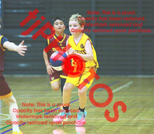 Load image into Gallery viewer, Alexander Ursu Wyndham U14B6 VJBL 2026 Game Photo Catalogue