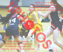 Load image into Gallery viewer, Ava Ritchie Wyndham VJBL 2026 Game Photo Catalogue