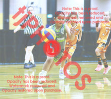 Load image into Gallery viewer, Sarenity Asiata Truganina South Summer 2025/26 Game Photo Catalogue
